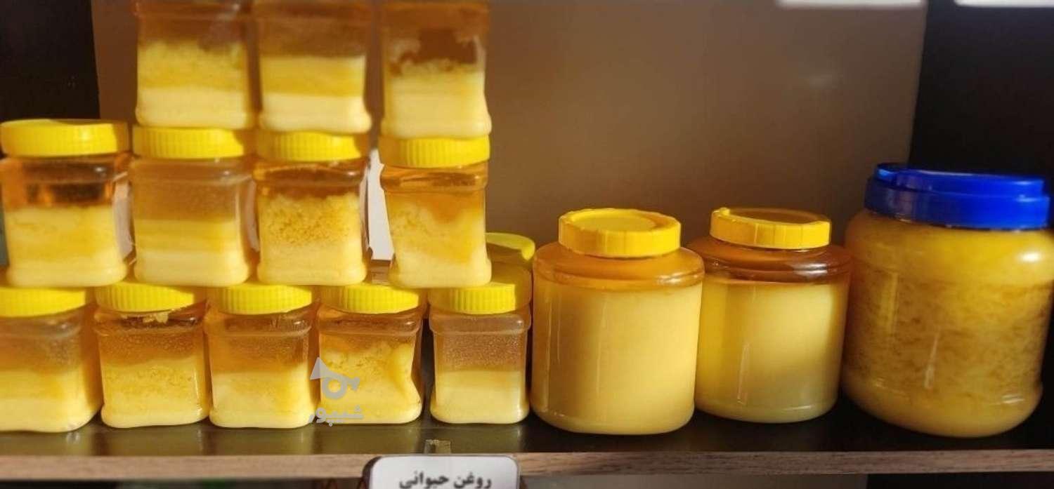 کره محلی گاوی