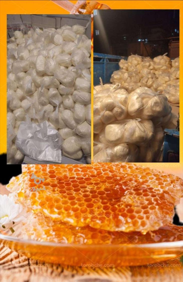 کره محلی گاوی