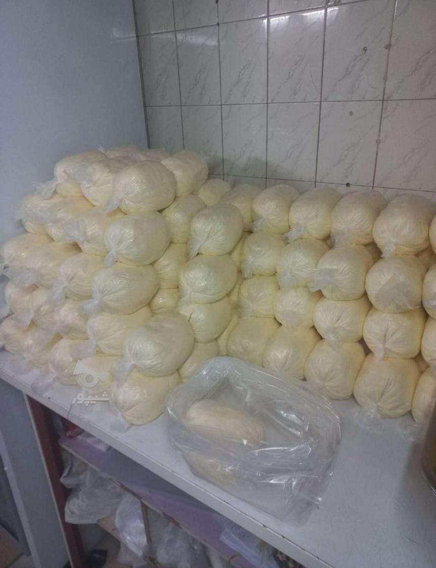 کره محلی گاوی