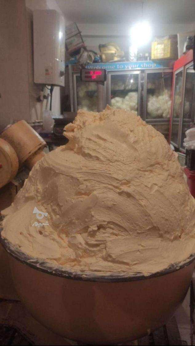 کره محلی گاوی