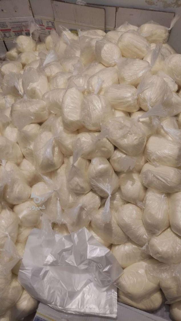 کره محلی گاوی