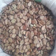 باقالا درجه یک