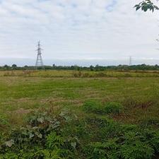 فروش زمین کشاورزی 9500 متر در تازه آباد - رودسر