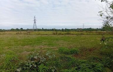 فروش زمین کشاورزی 9500 متر در تازه آباد - رودسر