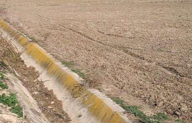 فروش زمین کشاورزی 3500 متری در مشک آباد