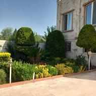 فروش آپارتمان 240 متر در فیروزکلا علیا