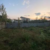 زمین 245 متر گراکو مسکونی سند تک برگ