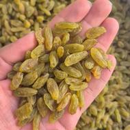 انواع کشمش و قیسی بصورت عمده