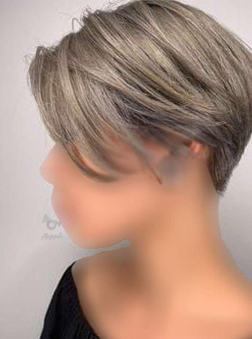 ب یک عدد مدل مو کرنلی یا مصری نیازمندیم