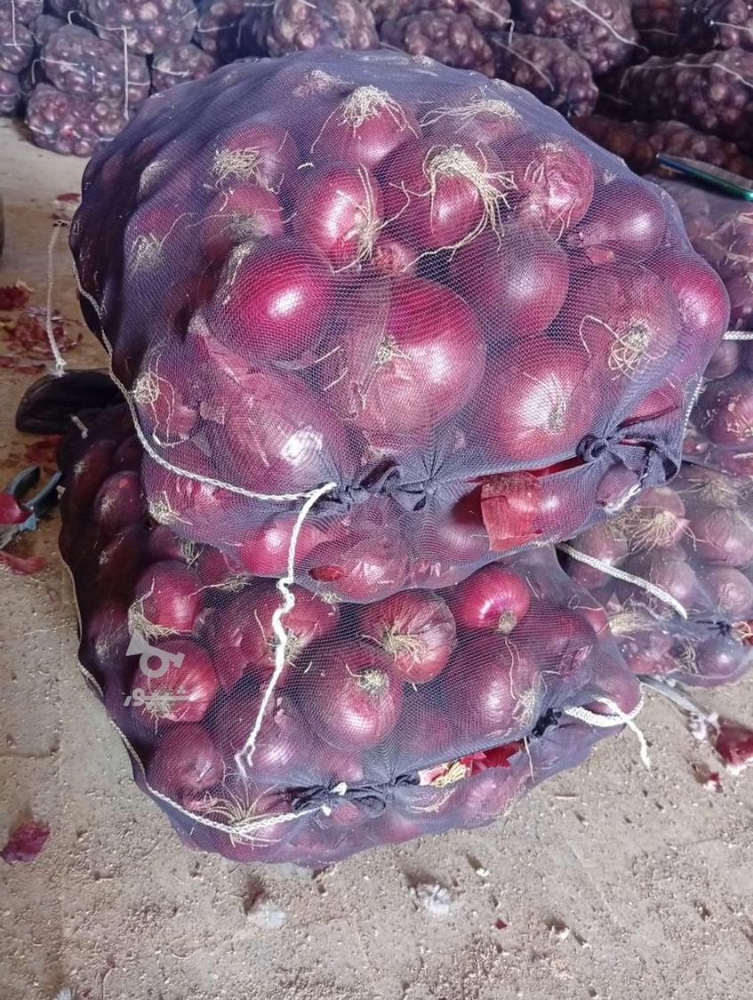 فروش پیاز درجه یک