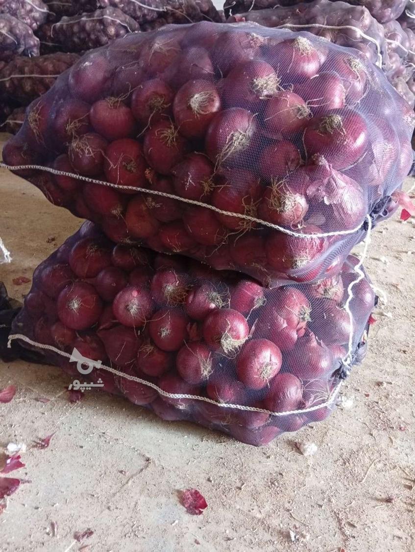 فروش پیاز درجه یک