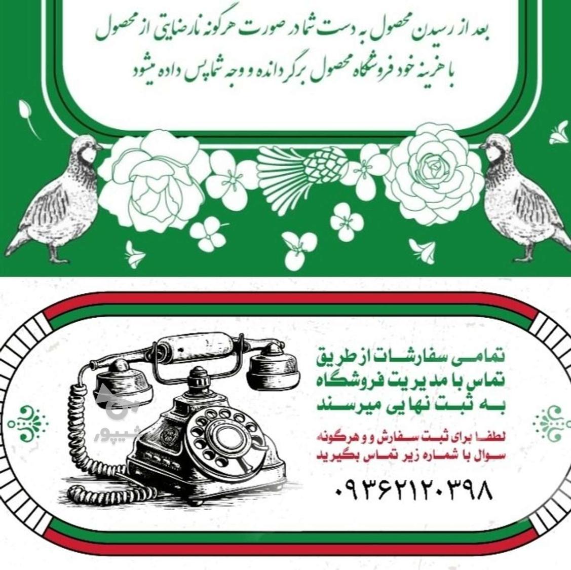 گوشت کبوتر ،بلدرچین ،خروس، گنجشک، کبک