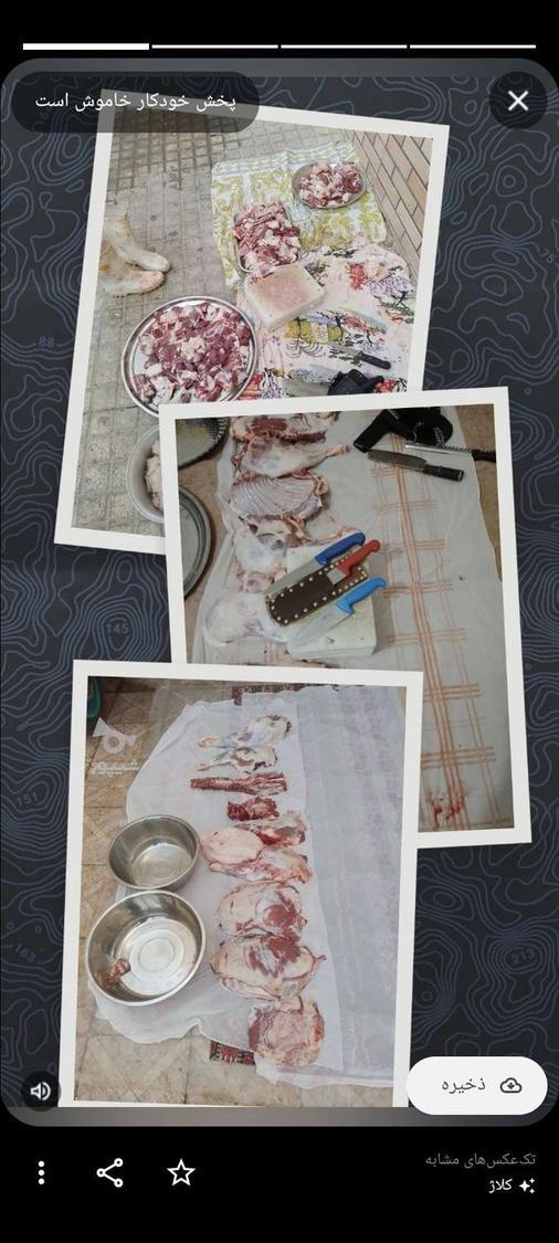 قصاب سیارذبح حلال دامهای سبک وسنگین گوساله وگوسفند درمحل هشت