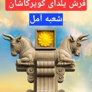 فروشنده خانم