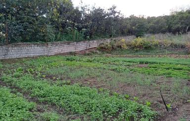 150متر درساری شهرهولار