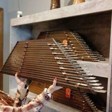 سنتور تک مهر