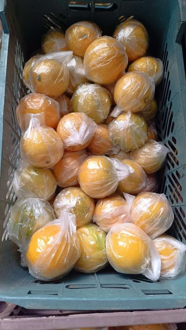 فروش پرتفال تامسون