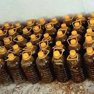 خیار شورتازه