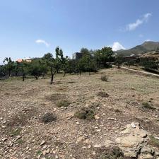 زمین 400 متری ییلاقی/بافت سرتاسر ویو نمار