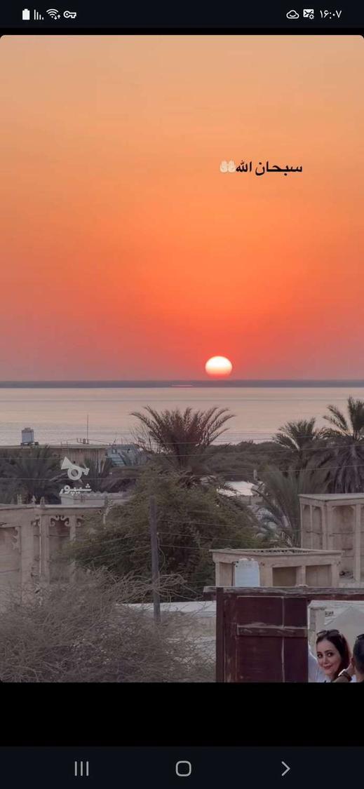 نیروی کار یا کار آموز - علیرضا