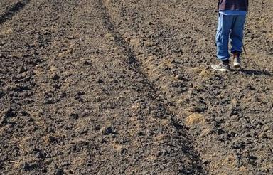 فروش زمین کشاورزی