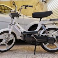 براوو پاکشتی