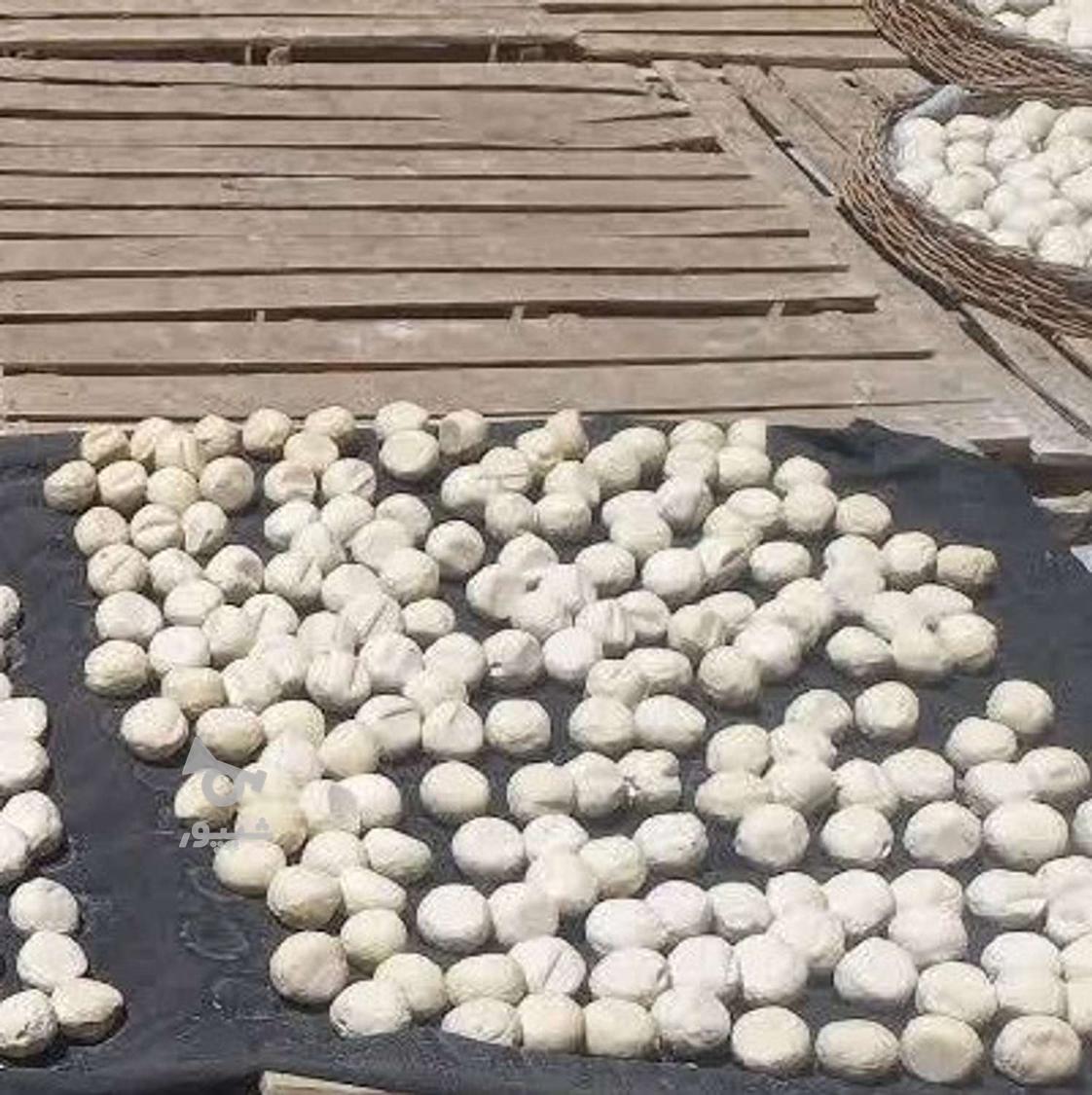 لبنیات محلی شهربابک