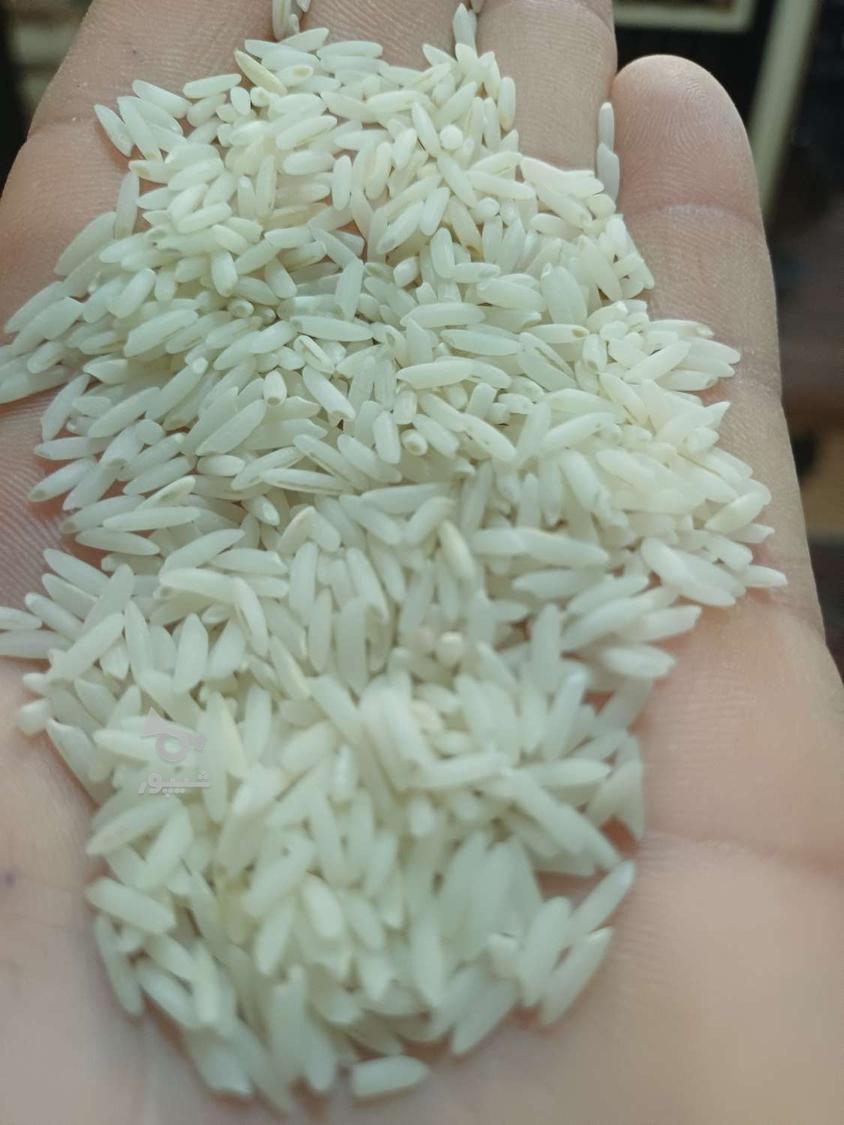 برنج هاشمی کشت اول بدون سم ارگانیک و کشت دوم
