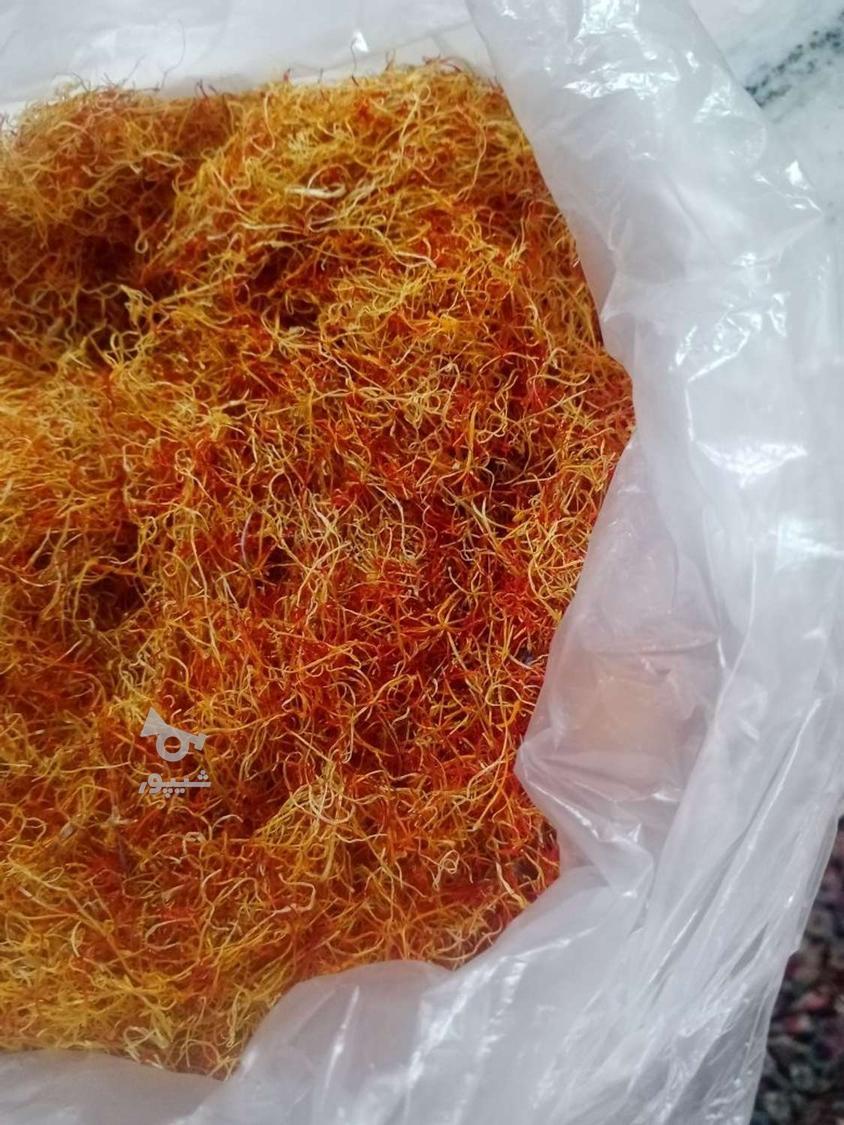 ریشه زعفران