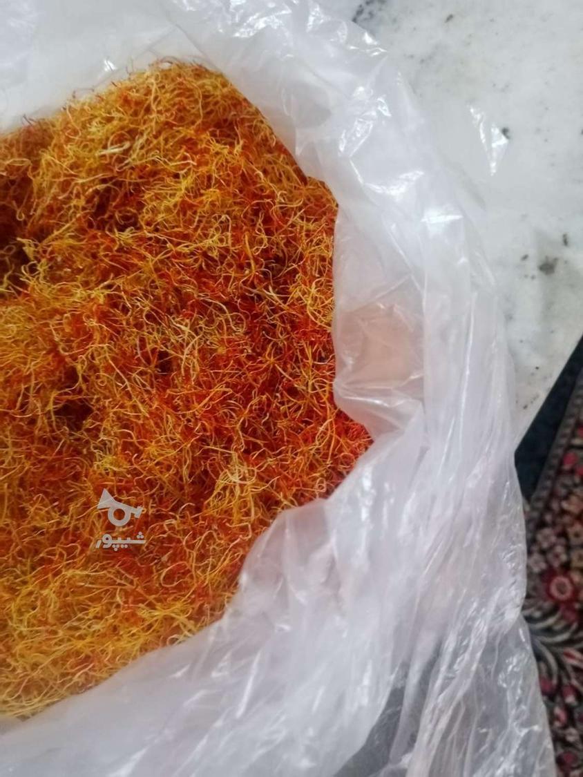 ریشه زعفران