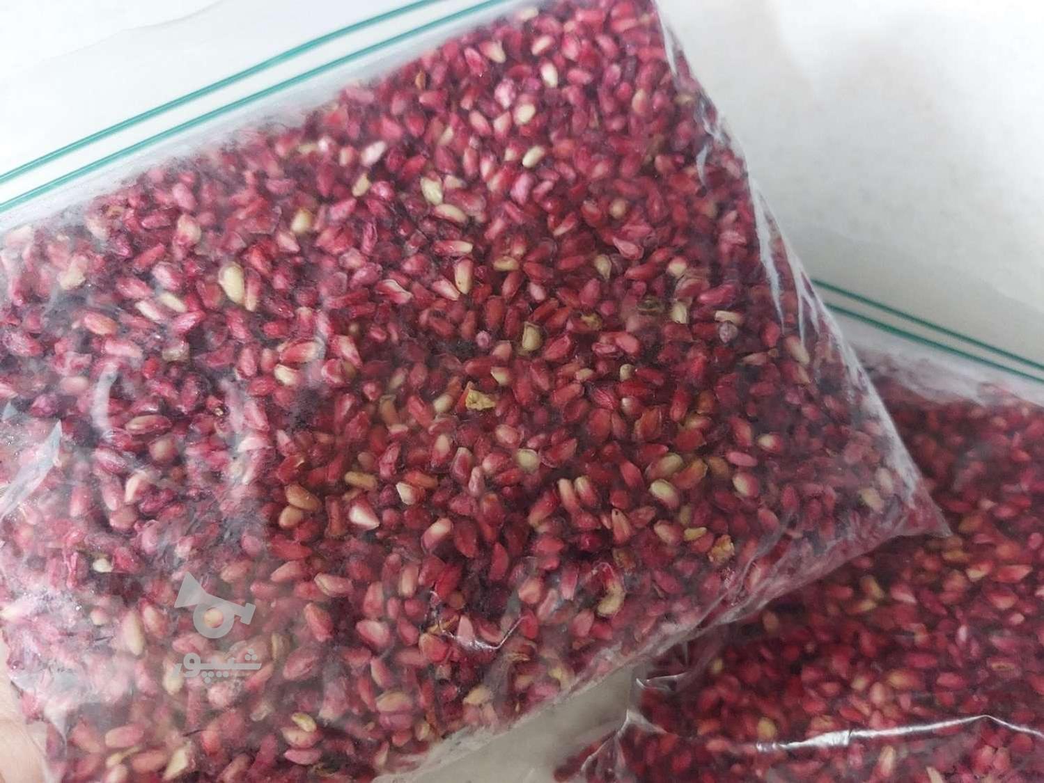 رب انارتخم انار