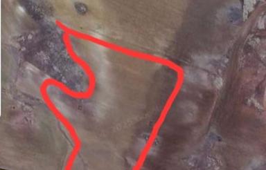 4 هکتار زمین کشاورزی با سند تک برگی