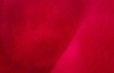 خانه یک اتاقی همرا حمام دسشویی