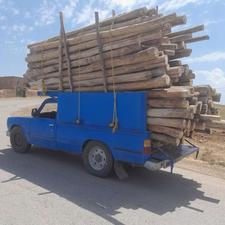 خریدار چوب خشک و جنگل