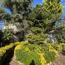 فروش ویلا 320 متر در محمد حسین آباد