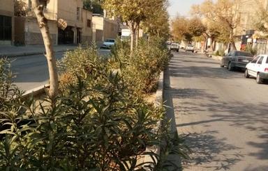 فروش 80 متر تجاری و2 واحد 85متری مسکونی خ گلستان خ صفا