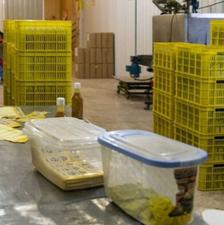 کارگر افغانی