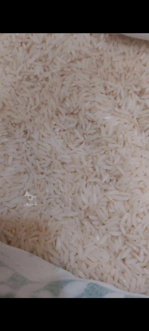 برنج فجر سوزنی