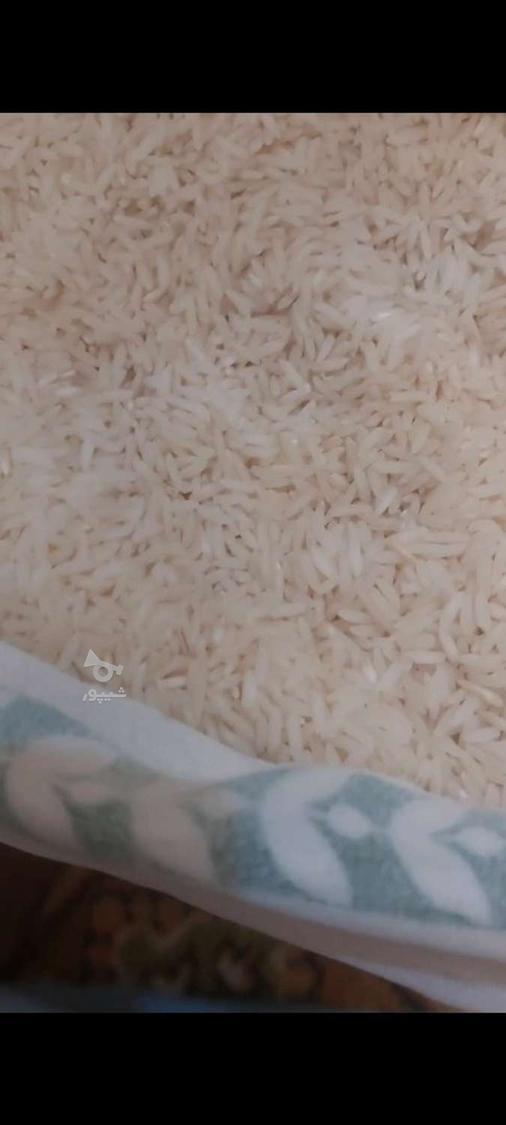 برنج فجر سوزنی