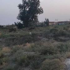 زمین زمین زمین