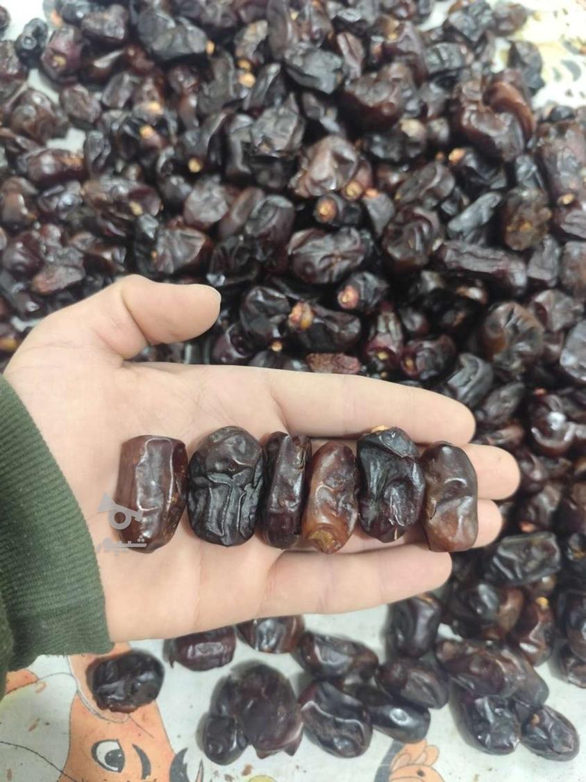 خرما امسالی کیلو 90