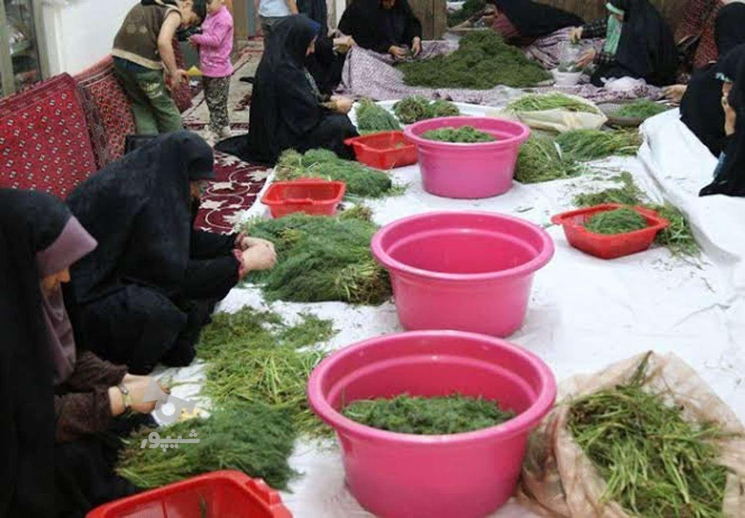 دنبال کار تو خونه هستم زعفران حبوبات سبزی بسته بندی میکنم - عسل