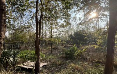 500 متری در نازکسرا