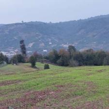 فروش زمین کشاورزی 6000 متر هولار