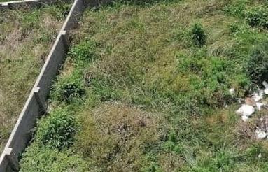 فروش زمین مسکونی 220 متر در جوادیه