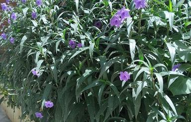 آپارتمان 93 متری درمجتمع مسکونی نیاوران مهرشهر