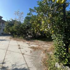 910 متر زمین واقع در رامسر خوش قیمت