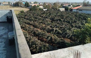 فروش آپارتمان 185 متر در بلوار مطهری