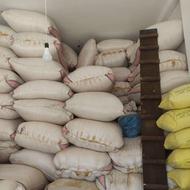 کاه گاوی گوسفندی