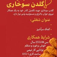 استخدام نیرو